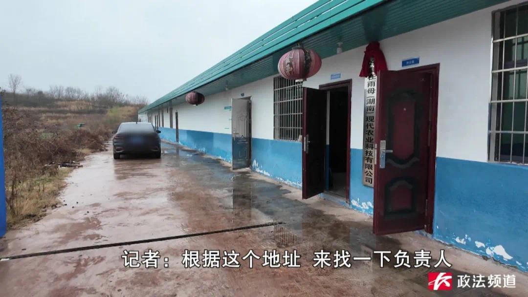 网红山里姑姑带货的手工鱼丸热销 背后竟涉嫌贴牌、冒用资质(图5) 图片