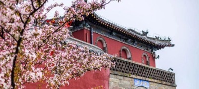 接下来的泰安，是一万次春和景明