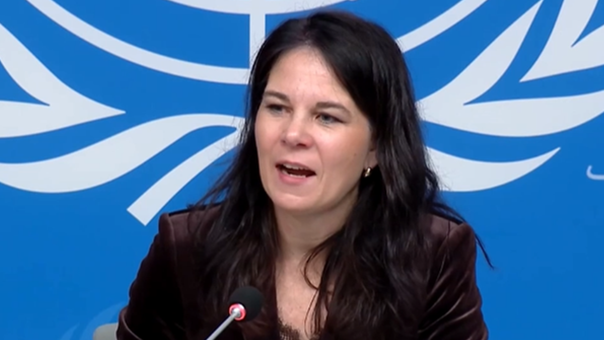 联大主席贝尔伯克催美国“还钱”