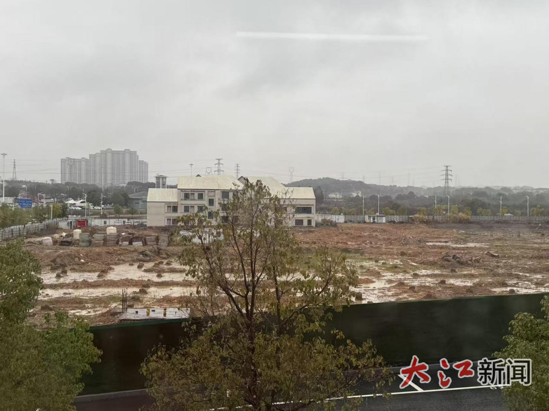 芦苇丛被全部清理到位