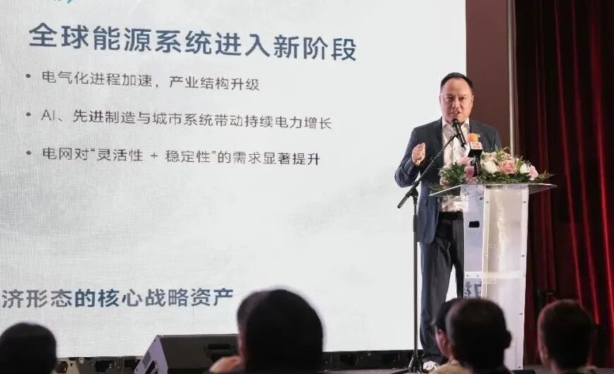 CESC副会长柳青在论坛上发表主题演讲