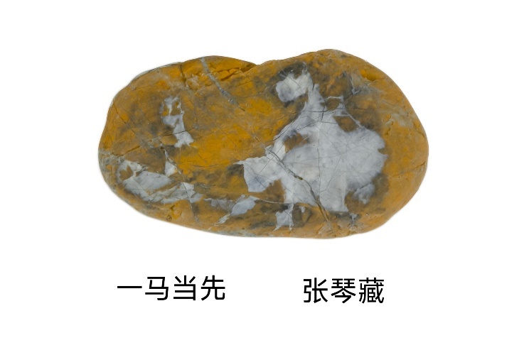 自然遗产与生态保护融为一体 “马踏雨花”为南京春节带来生机