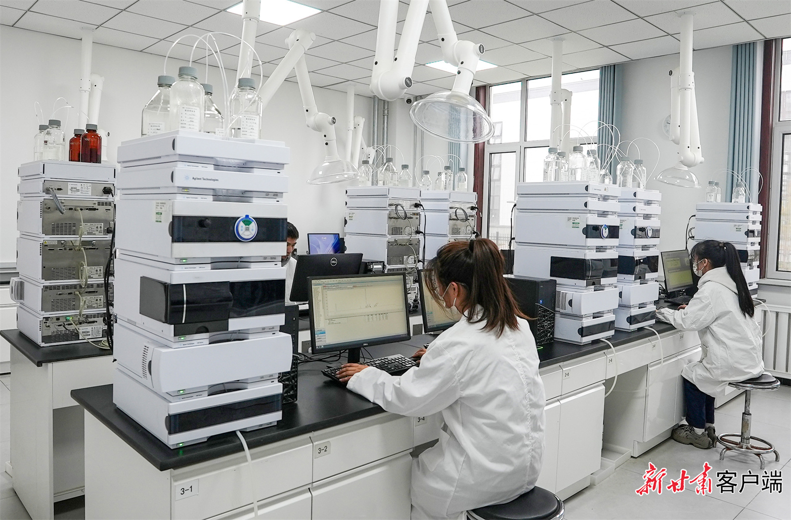 甘肃泰友生物科技有限公司工作人员正在分析实验数据　新甘肃&middot;甘肃日报记者　冯乐凯　摄