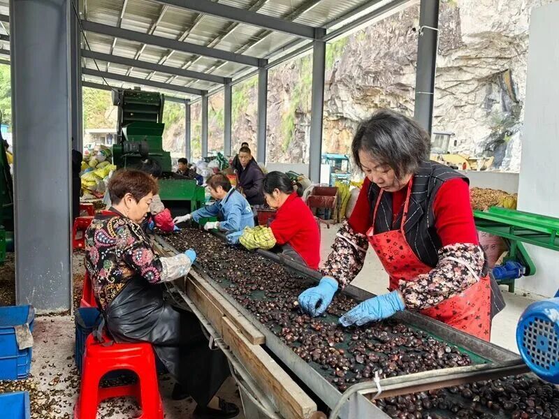 微信图片_20260224100729_145_505