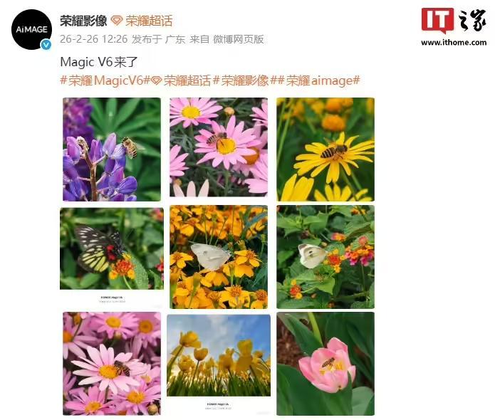 荣耀Magic V6折叠屏新机拍摄样张公布,AiMAGE影像加持