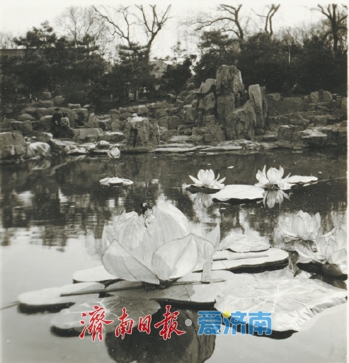1980年,水面上的荷花灯。