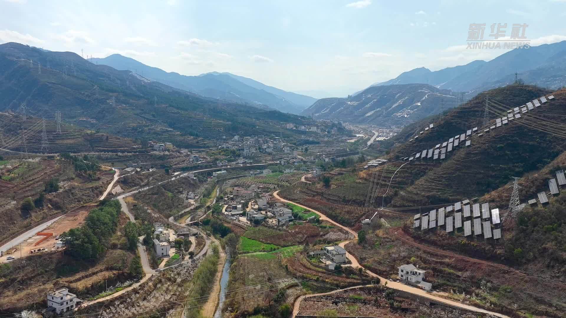 千城胜景｜春风送暖 鲁甸小寨樱桃花开