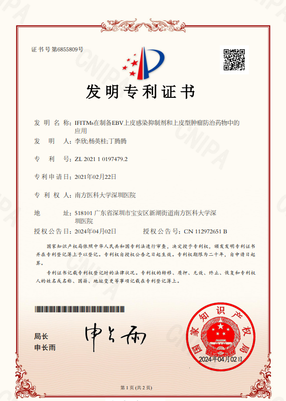 破解EB病毒“隐身术“，PROTAC药物为鼻咽癌免疫治疗破局