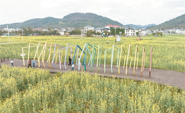 萍乡：油菜花海畅游 感受田园春色（图）