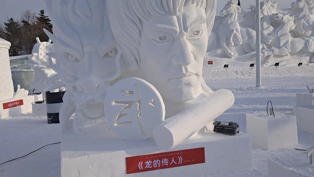 1月15日，长春冰雪新天地内雪雕作品《龙的传人》。新华网 党春阳摄