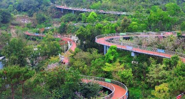 健步古道登高望远 在珠海香洲 用一场山海徒步迎接新春