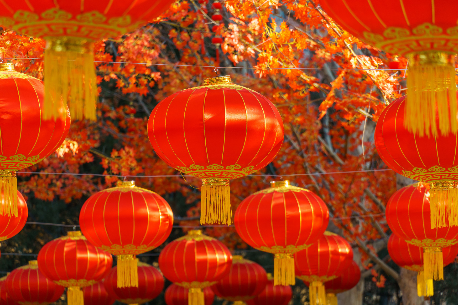 大红灯笼高高挂 即墨区处处洋溢着新春喜悦与温馨