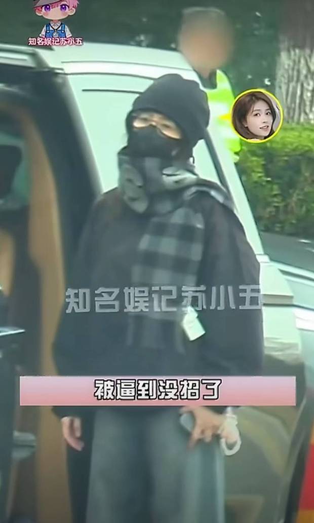 搜狐娱乐讯 近日，白鹿被私生一路跟车，忍无可忍下车对峙，未果后甩围巾泄愤，又气又委屈。