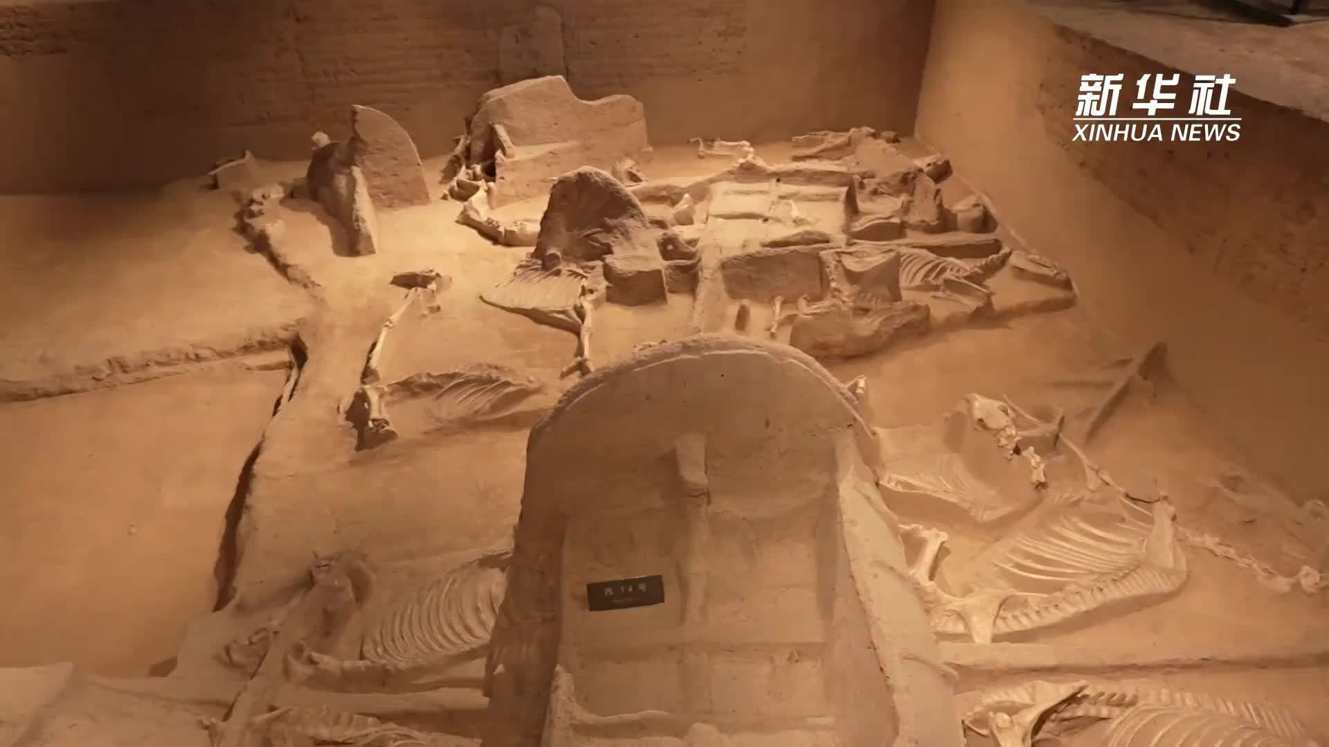 走近东周天子车马坑——“天子驾六”感受周王威仪