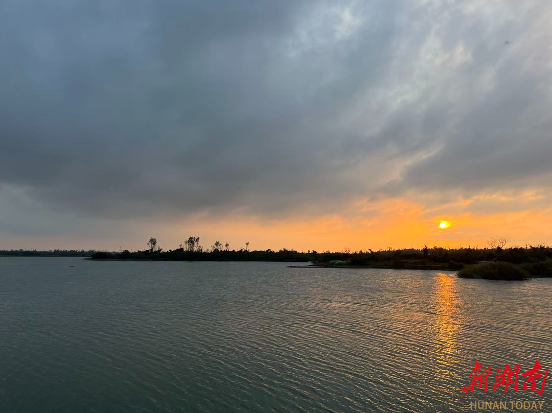夕阳下的两陂水域波光粼粼。