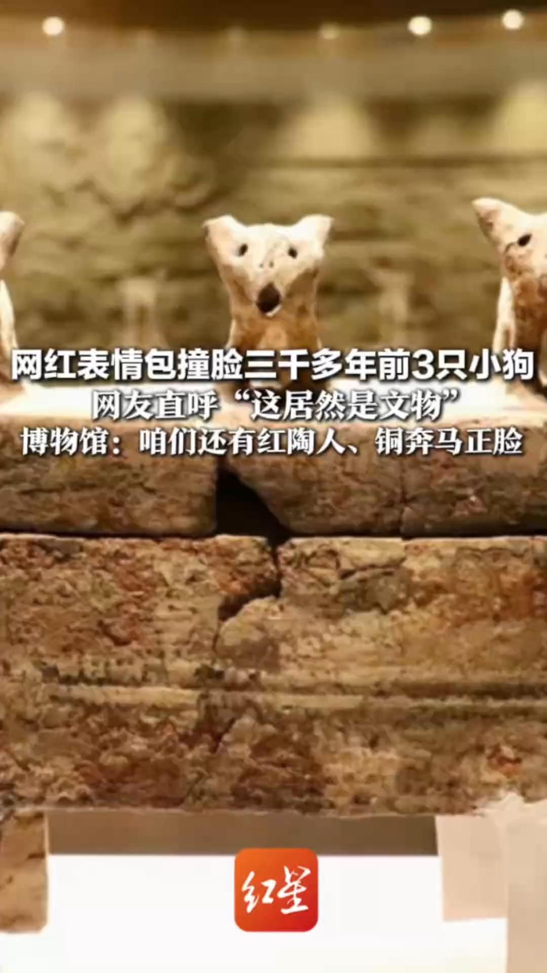 网红表情包撞脸三千多年前3只小狗 网友直呼“这居然是文物” 博物馆：咱们还有红陶人、铜奔马正脸 “老祖宗的幽默感好超前啊”