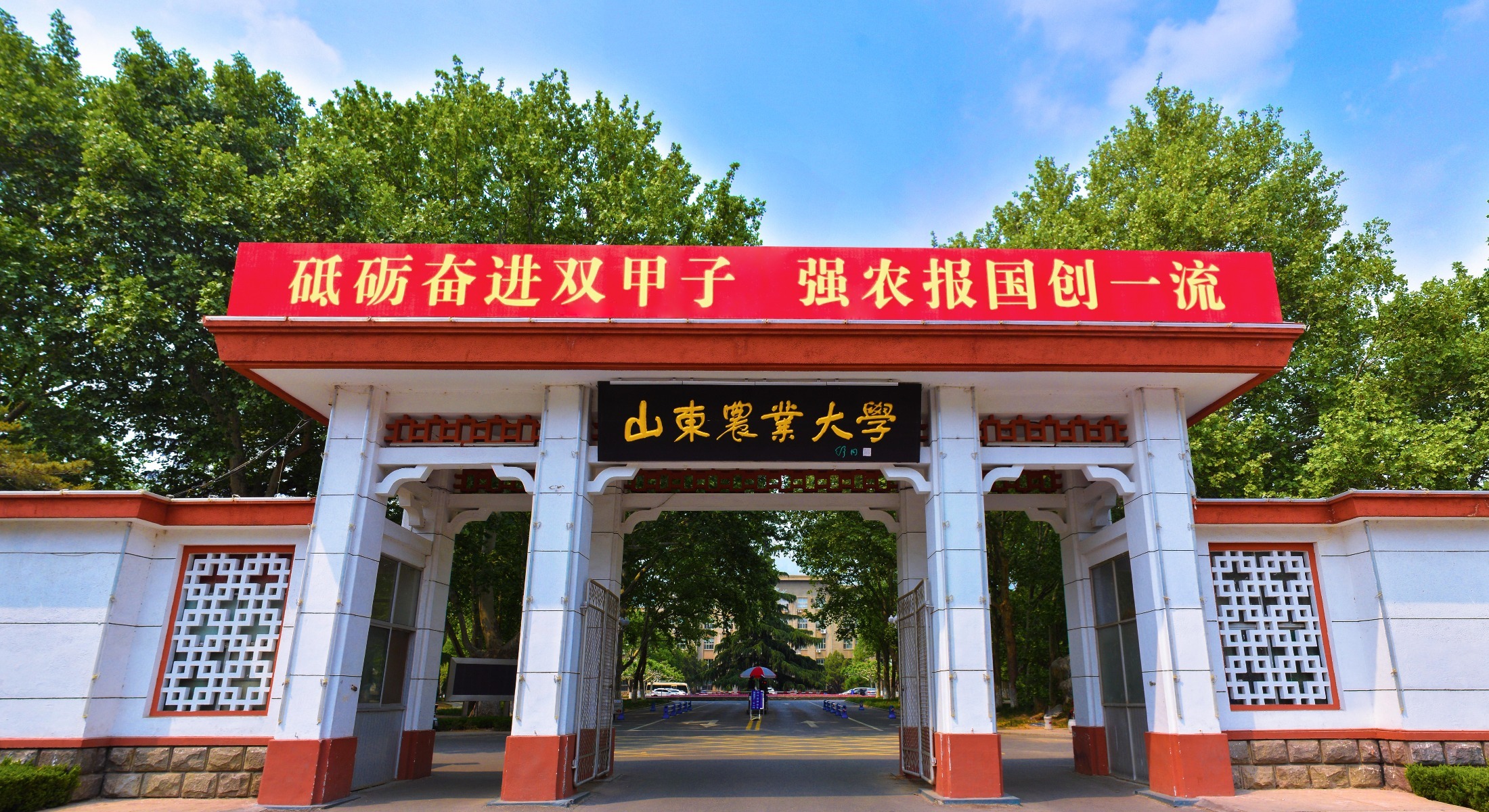 开局见担当，十万亿再出发 | 为兴农赋能、助强省致远，山东农业大学向“一流”而行