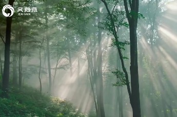 AI舌诊+药食同源 北京中医药大学东方医院秦皇岛医院开出中医养生茶饮店