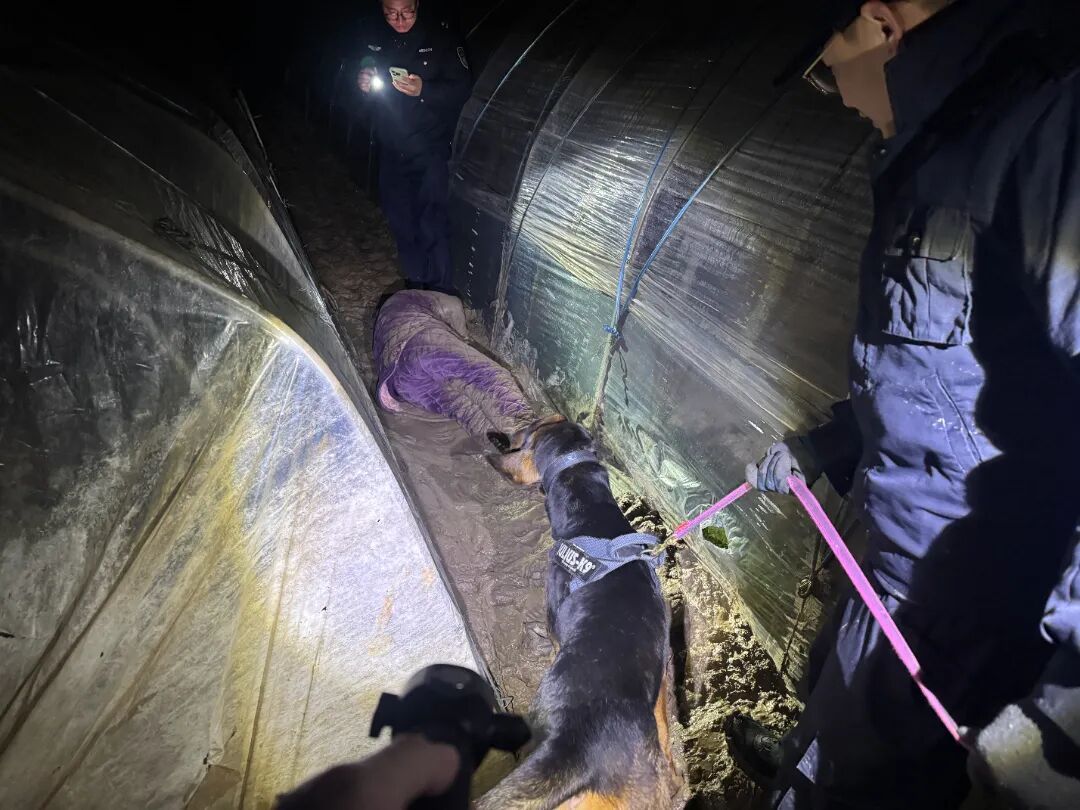 3、警犬找到老人.jpg