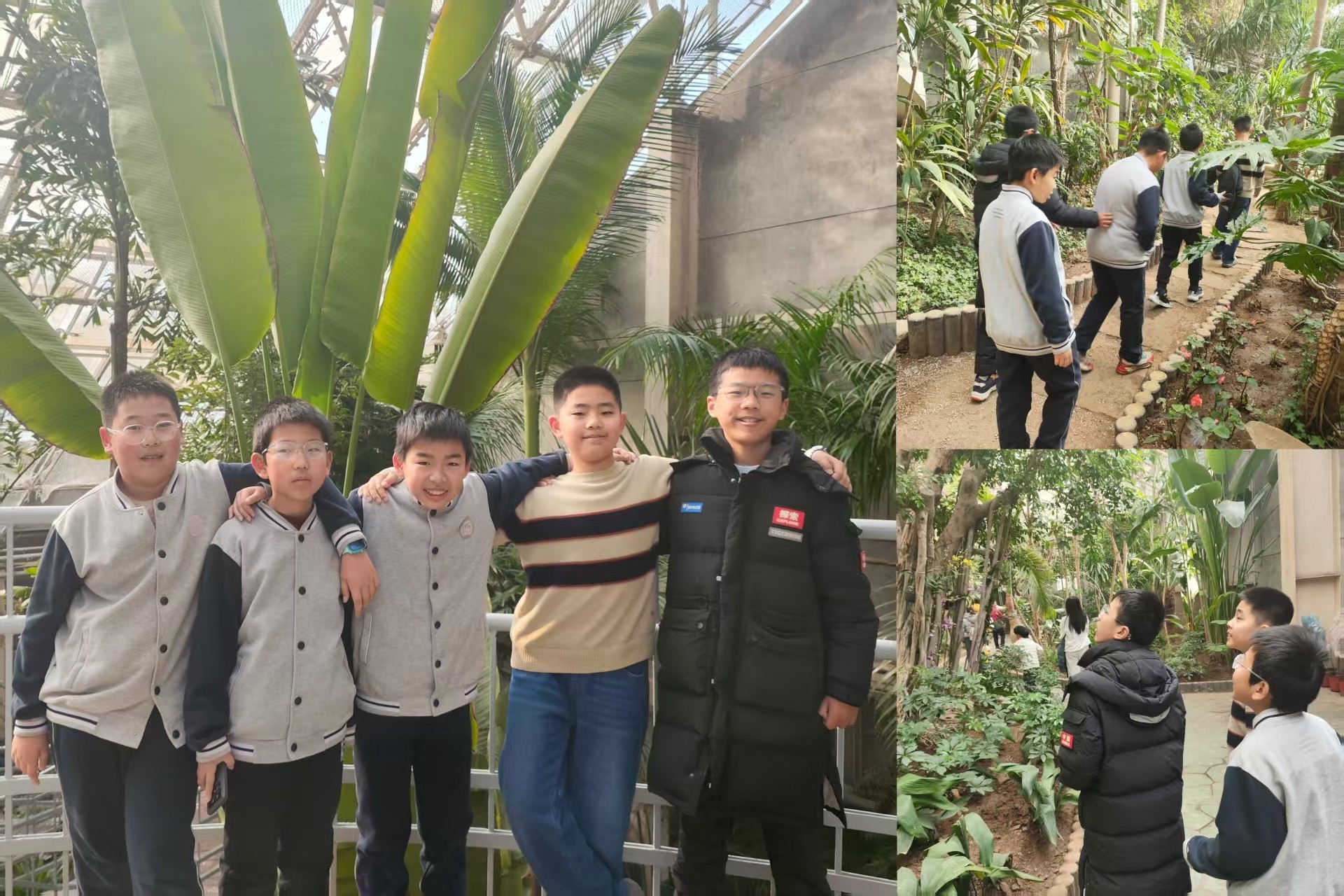 点击查看原始图片