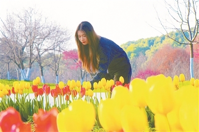 游客在凤凰沟景区赏花踏青