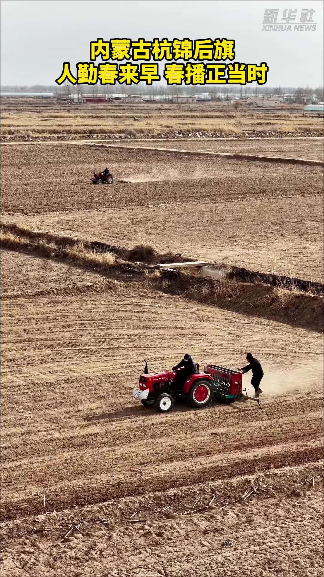 内蒙古杭锦后旗：人勤春来早 春播正当时