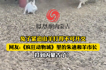 兔子紧追山羊打得不可开交，网友:《疯狂动物城》里的朱迪和羊市长打到内蒙古了？
