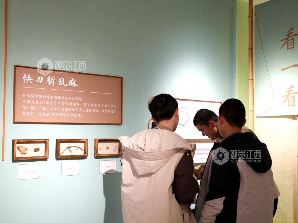 江西分宜:学非遗 度假期(图)