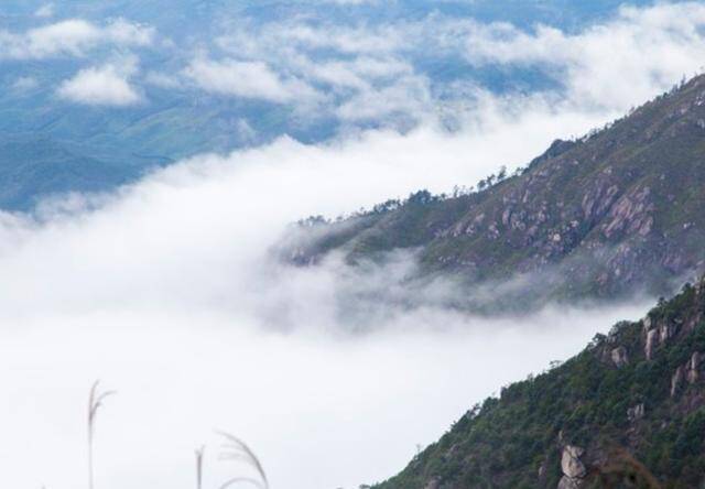 图片来自免费图库