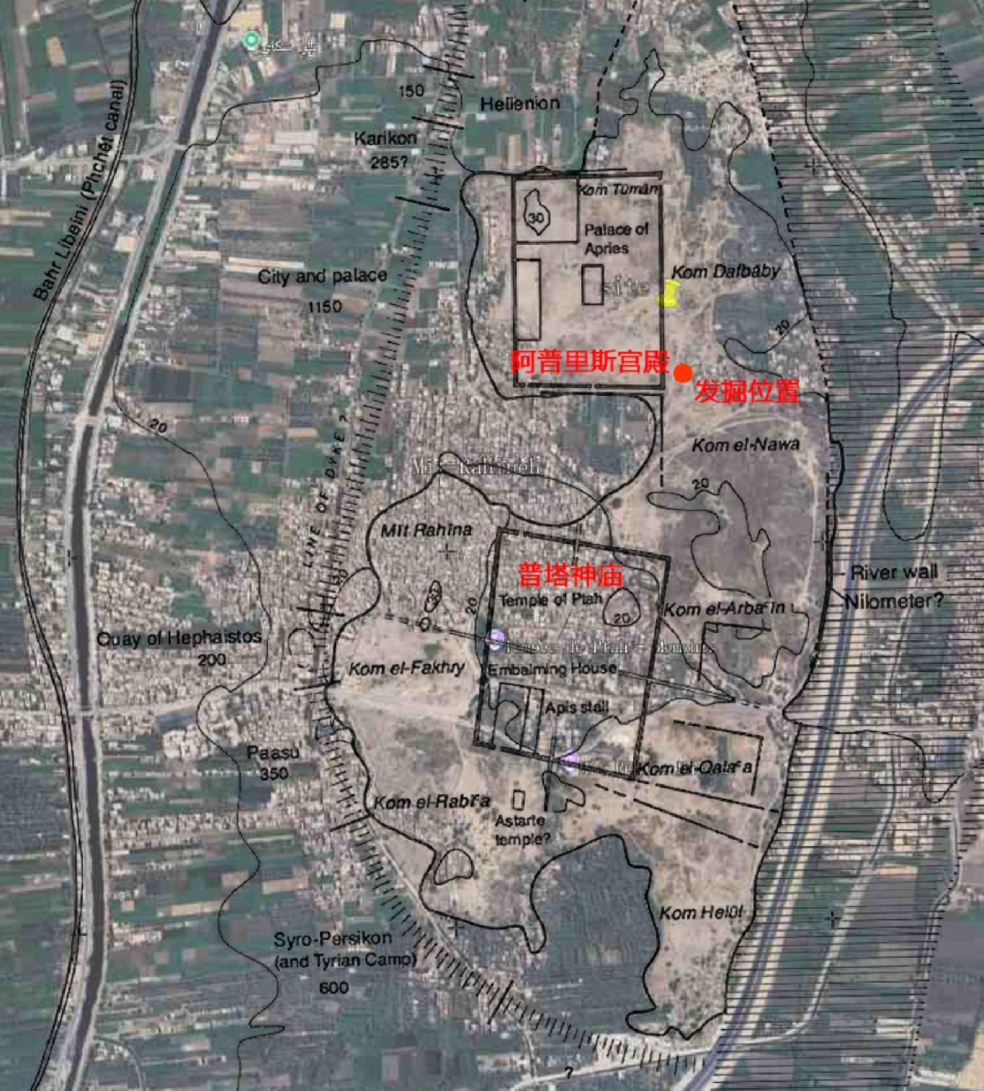 ▲孟菲斯遗址区及发掘位置