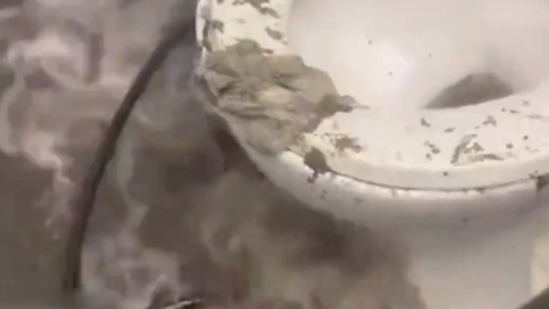 美军最大航母650个厕所坏了近9成，四五千人上厕所排队要四五十分钟，打伊朗？先停靠希腊缓缓吧……