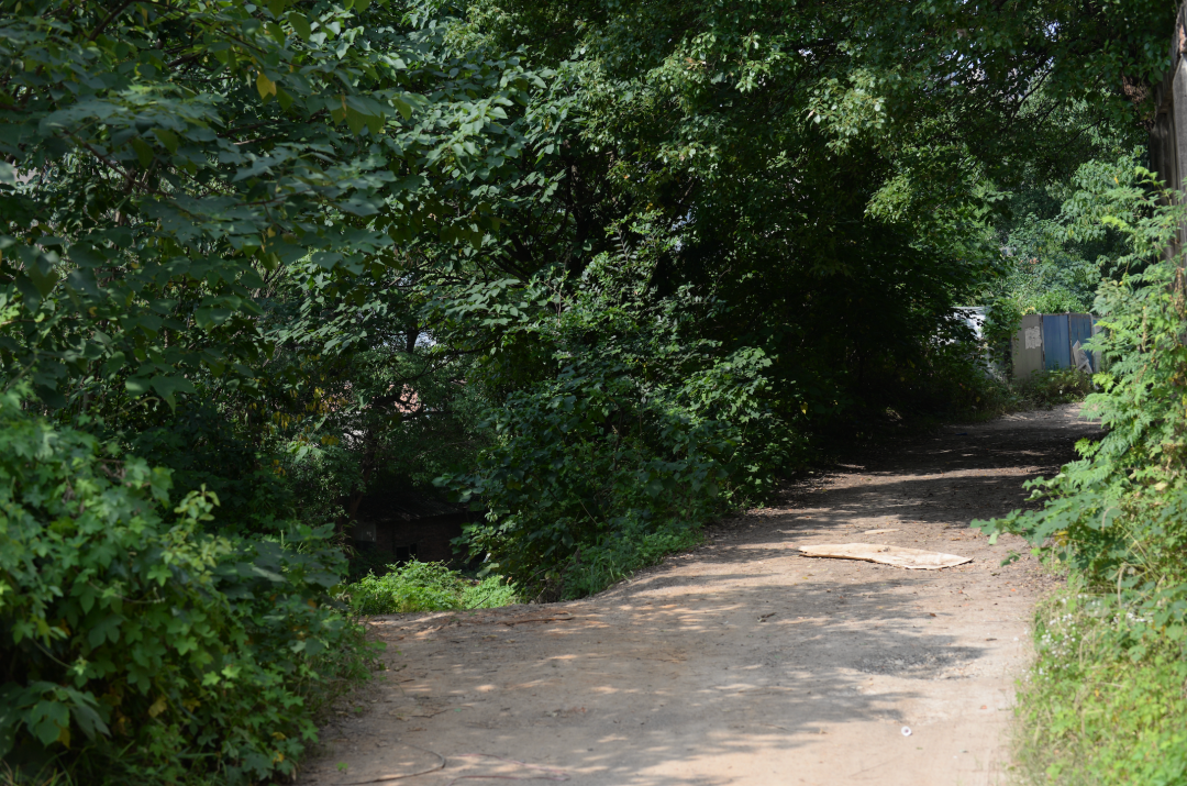 长沙东郊马坡岭。