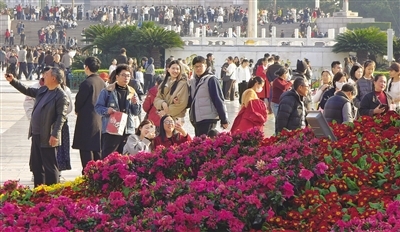 ▲八一广场新春花卉造型引大批市民游客“打卡”。
