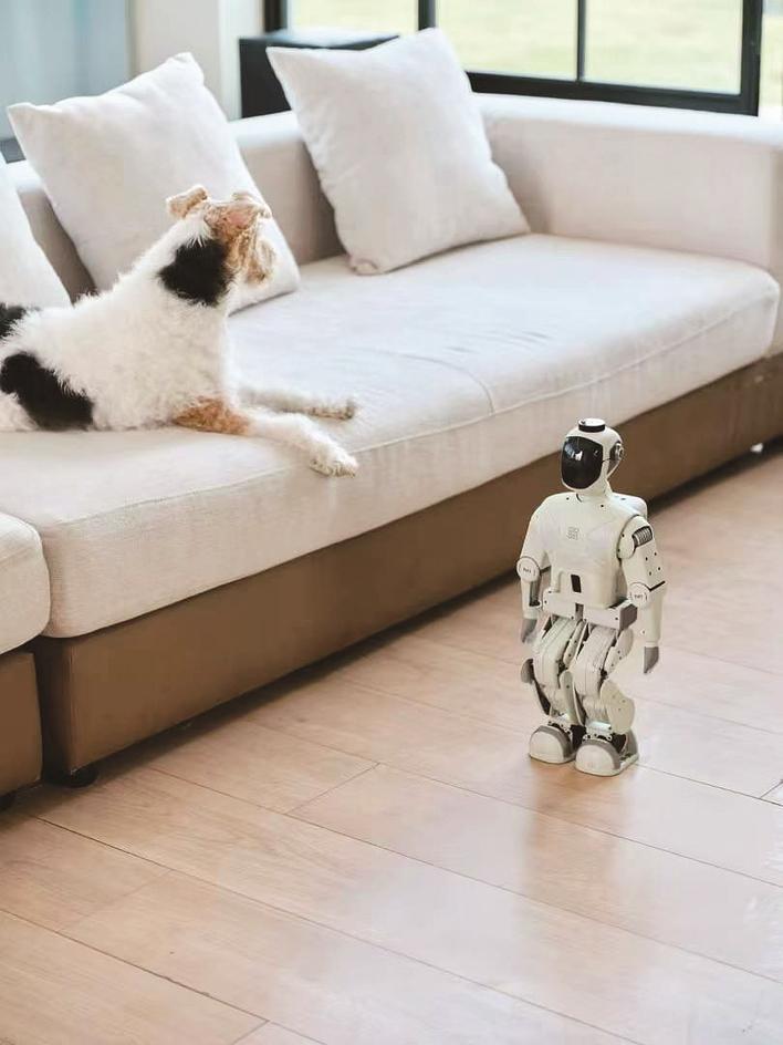 售价10999元的Z-bot家庭人形机器人 受访单位供图