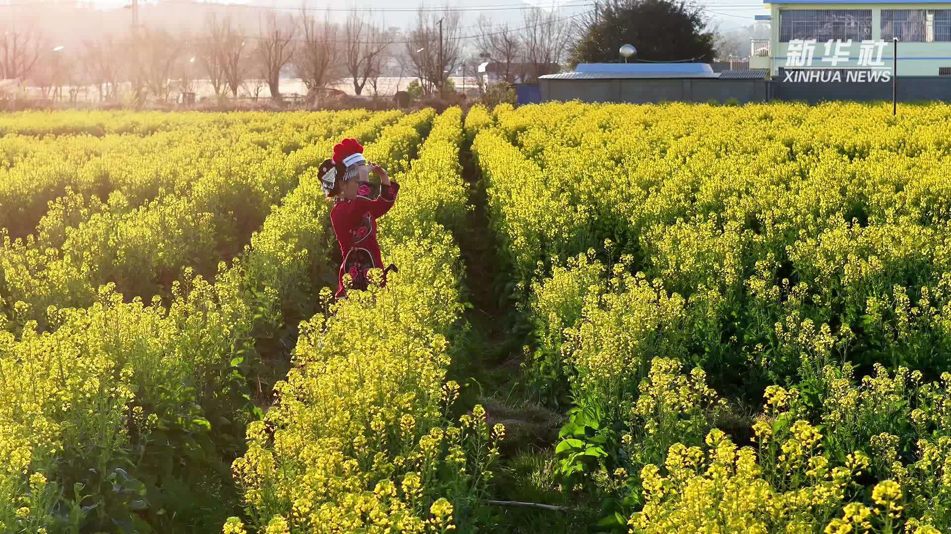 我从基层来｜全国人大代表金瑞瑞：履职要用心用情，急不得也松不得