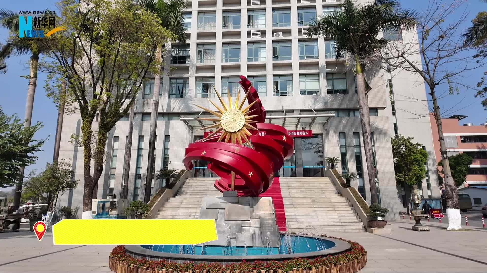 我身边的代表委员|全国人大代表杨登辉：从毫厘之精到为民之声