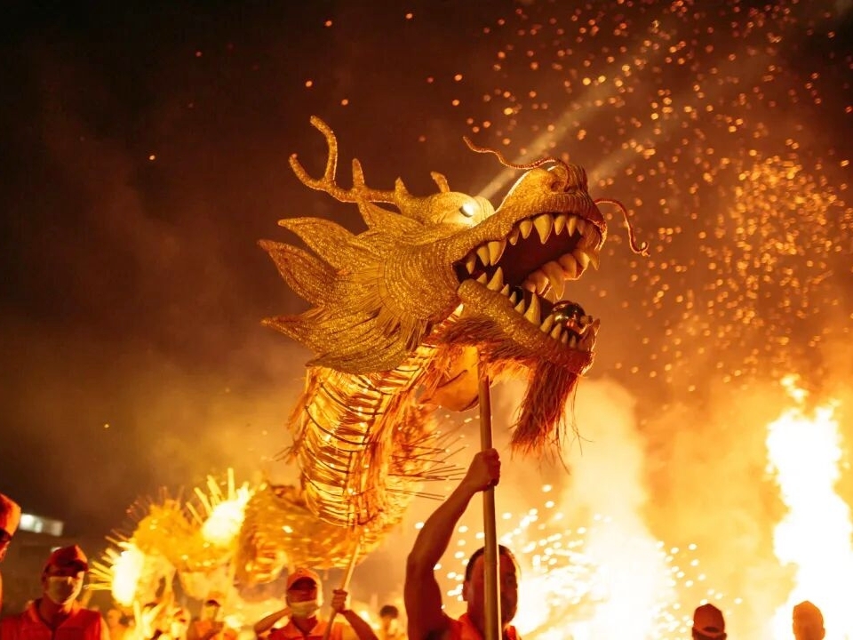 深圳帮扶 “造血”!河源上莞 “蓝莓 + 追龙”融合爆火 解锁乡村振兴新密码