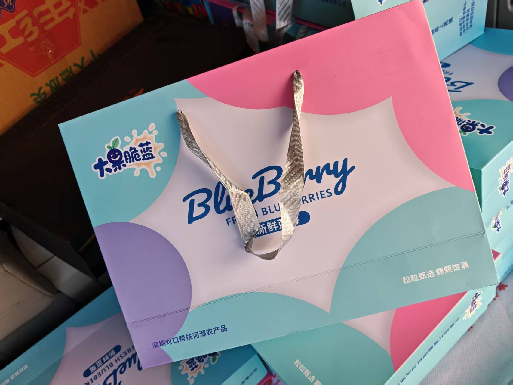 深圳帮扶 “造血”!河源上莞 “蓝莓 + 追龙”融合爆火 解锁乡村振兴新密码