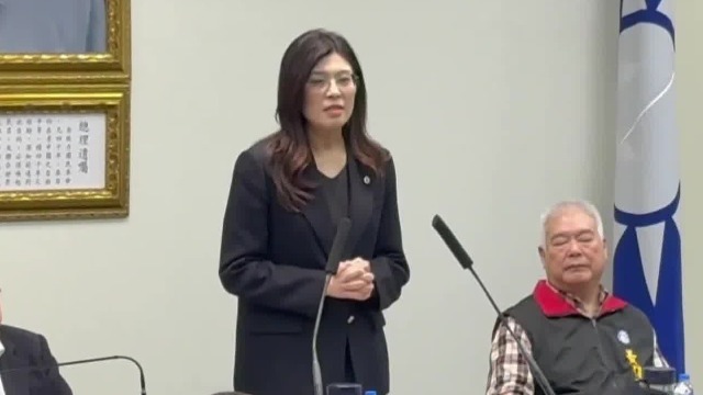 郑丽文喊话只能赢不能输