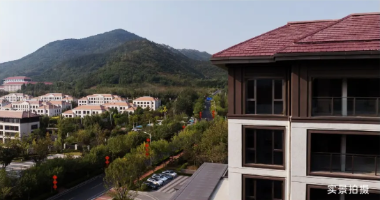 点击查看原始图片