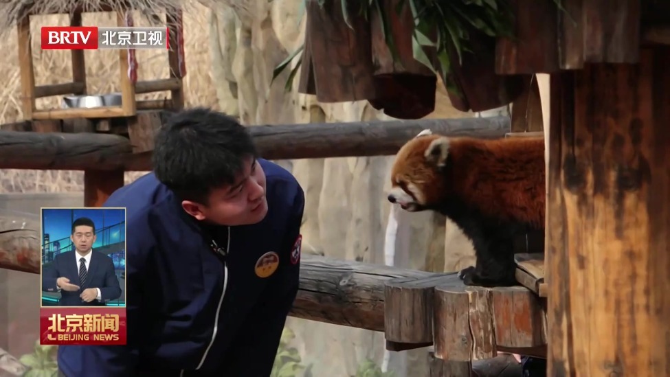 新春走基层丨守护新春“动物城”