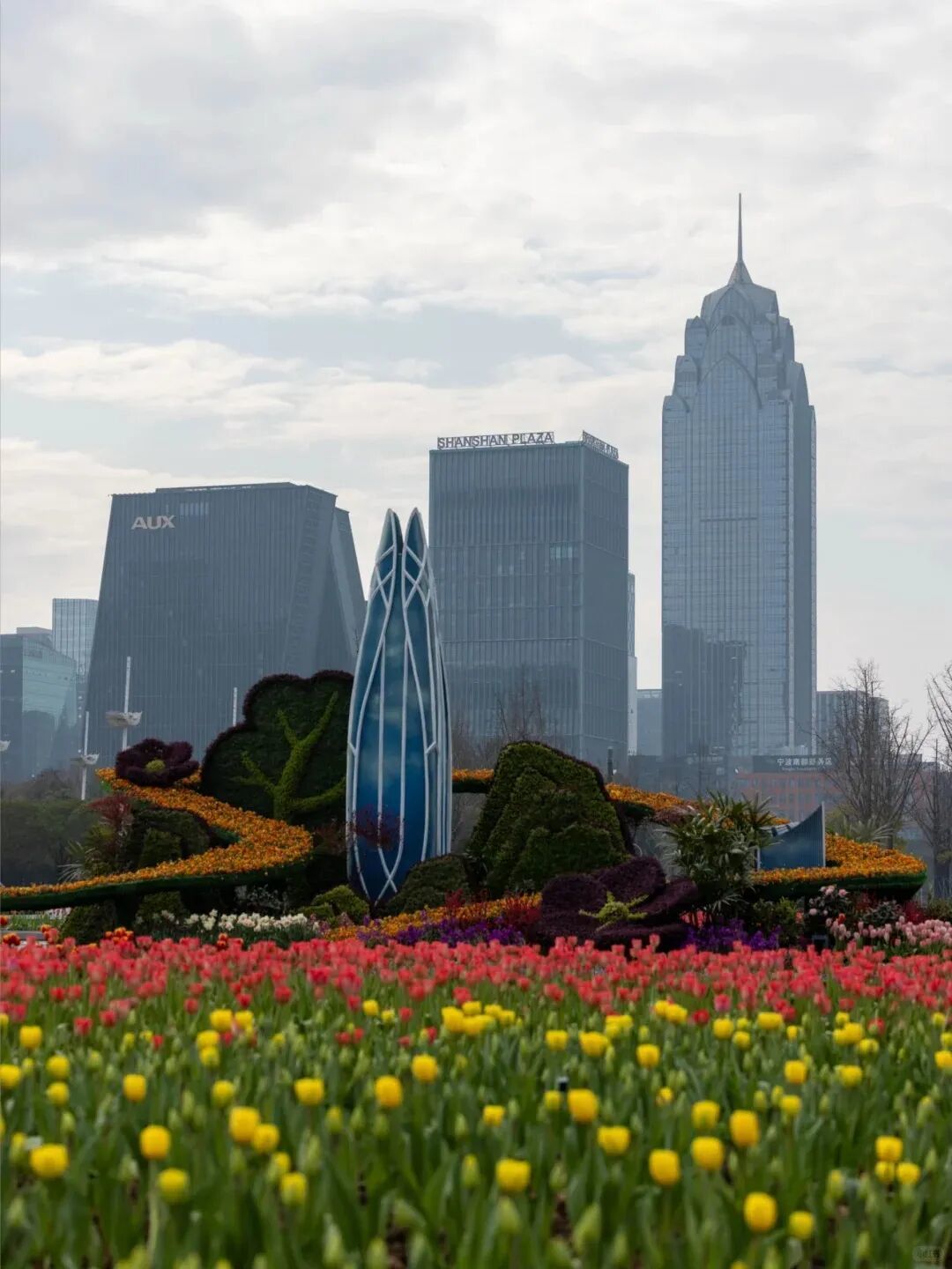 2026第一波郁金香开了 2.13现场实拍_1_漫步光影_来自小红书网页版.jpg