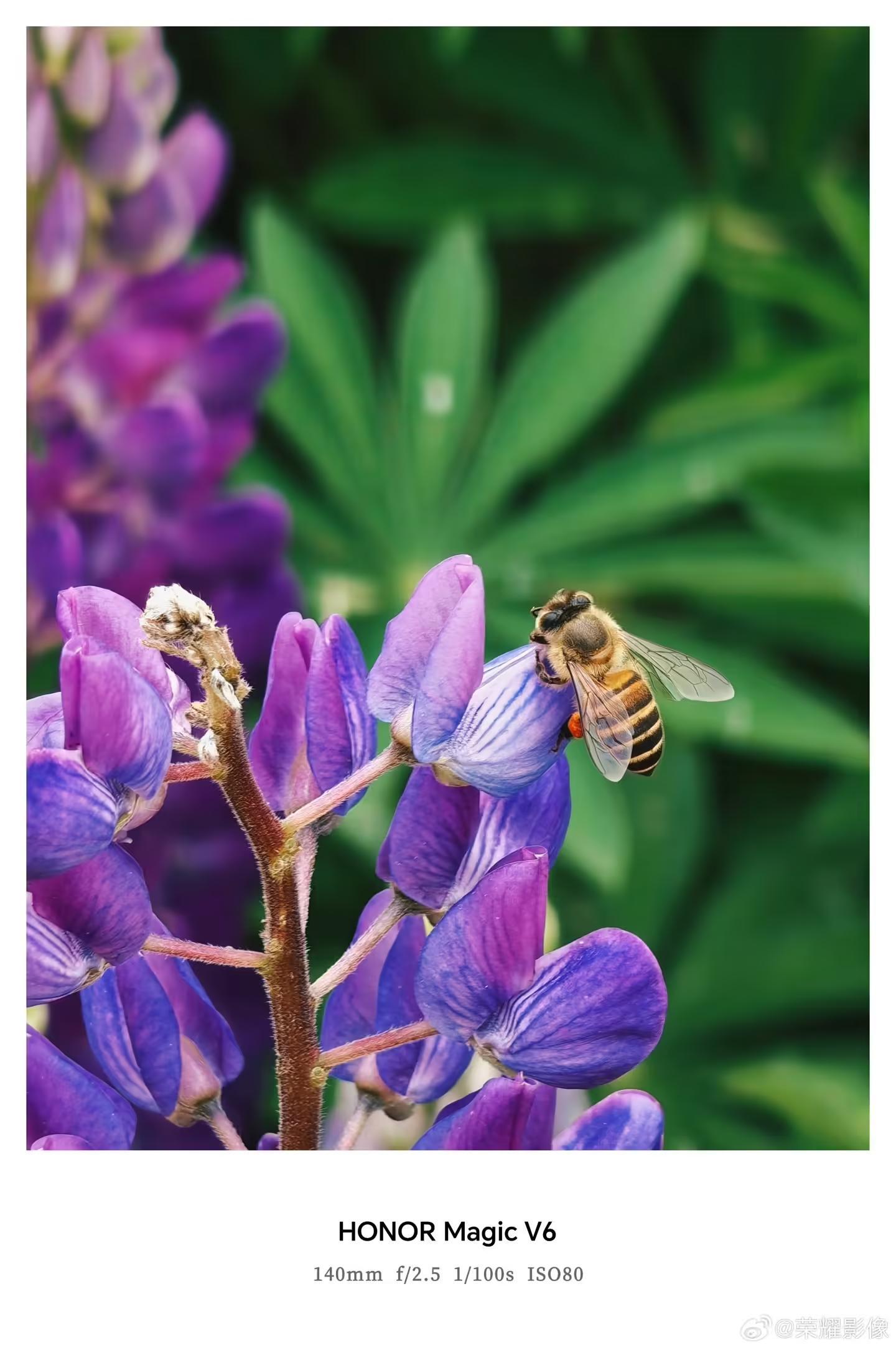 荣耀Magic V6折叠屏新机拍摄样张公布,AiMAGE影像加持