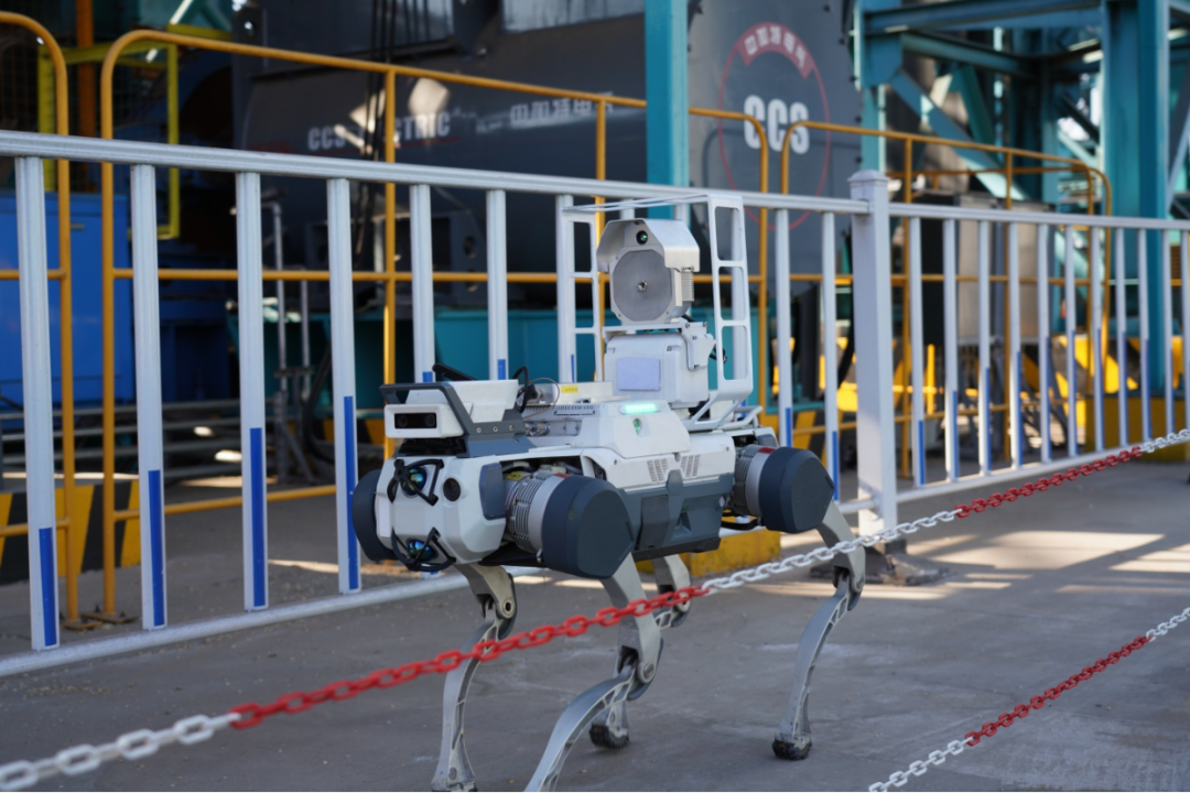 (来源:青岛港官方公众号)