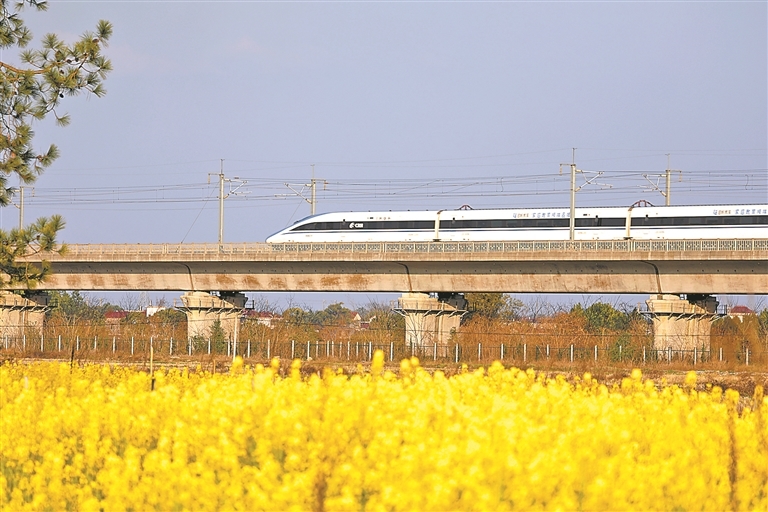 2月22日,泰和县塘洲镇土洲村境内,一列动车行驶在昌赣高铁云亭河特大桥上,穿越花海,驶向春天。特约通讯员 邓和平摄