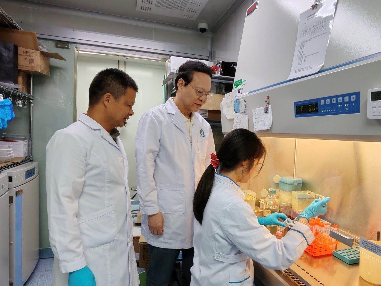 破解EB病毒“隐身术“，PROTAC药物为鼻咽癌免疫治疗破局