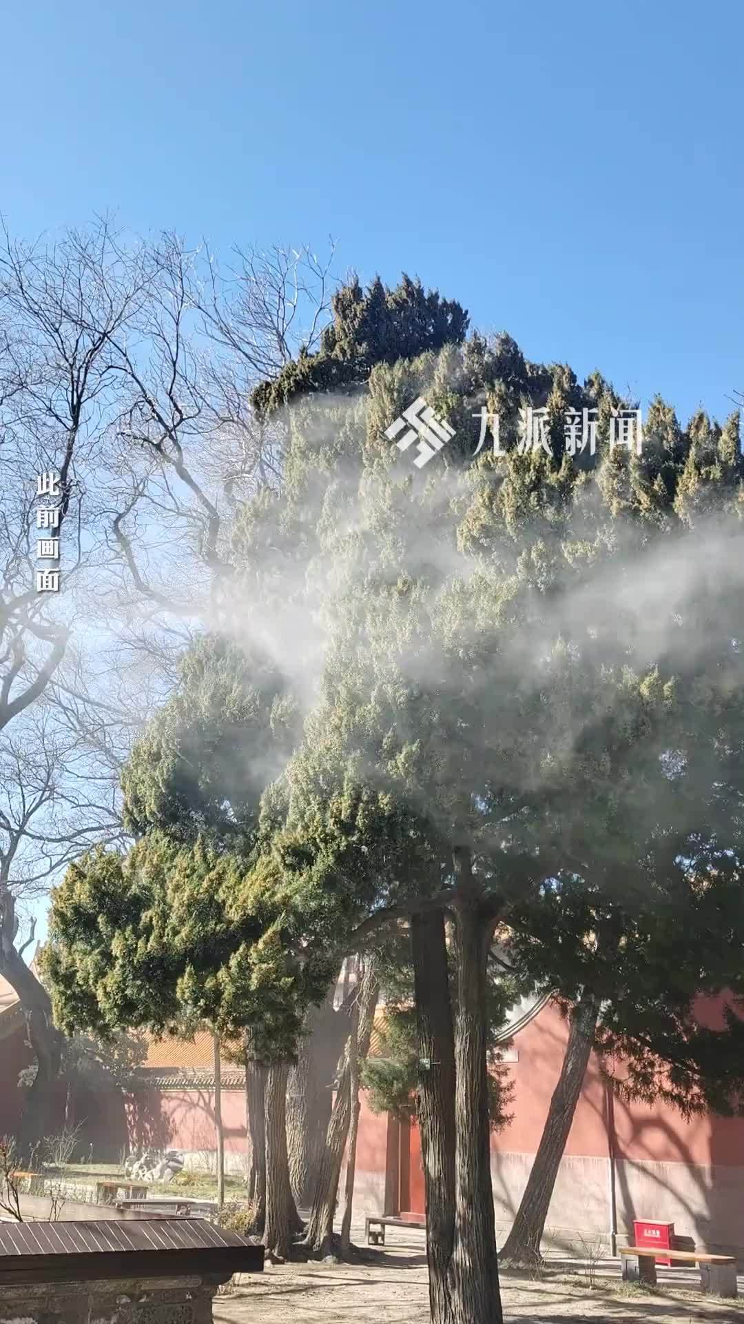 北京花粉预报暂未开启，过敏患者近期增多，有人误作感冒延误治疗