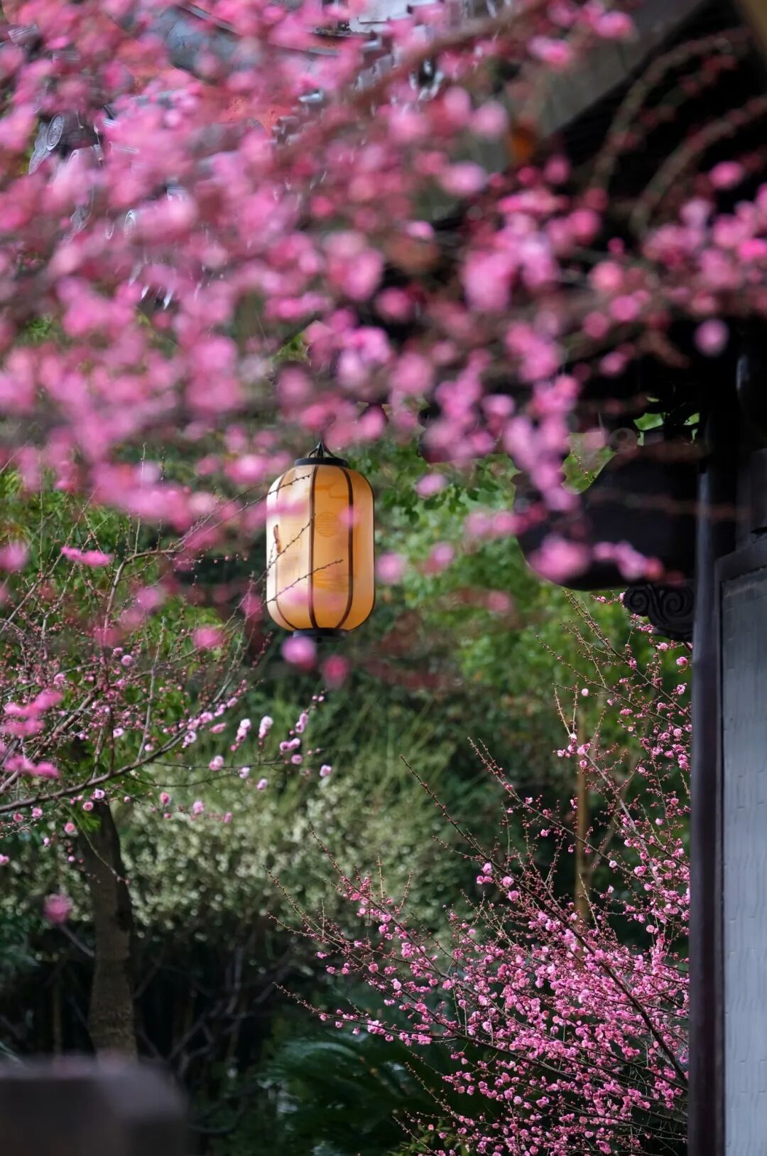 2月1 胡龙召 月湖超然阁8.jpg
