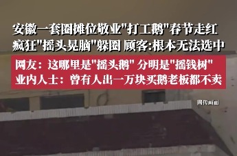 安徽蚌埠一套圈摊位敬业“打工鹅”春节走红，疯狂“摇头晃脑”躲圈