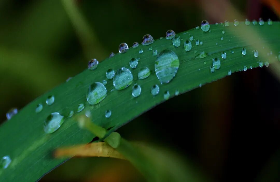 6.11 方亚琪 奉化雨夜（7）(1).jpg
